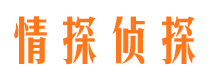 东丽市调查公司